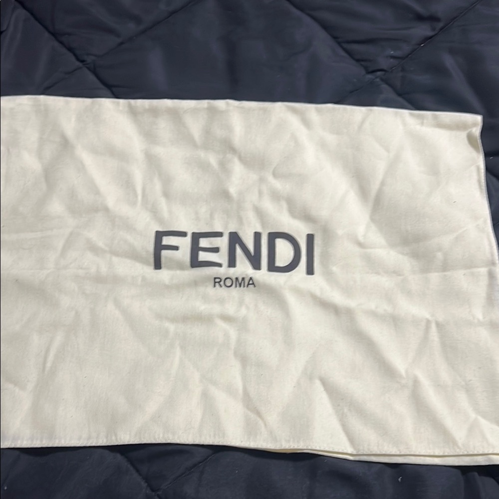 Fendi Roma Ivory Storage Bag